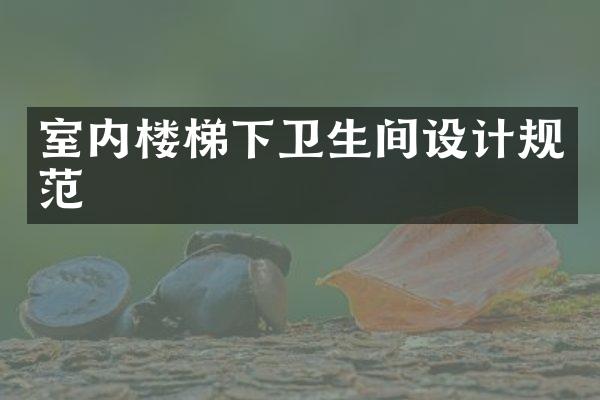 室内楼梯下卫生间设计规范