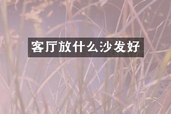 客厅放什么沙发好