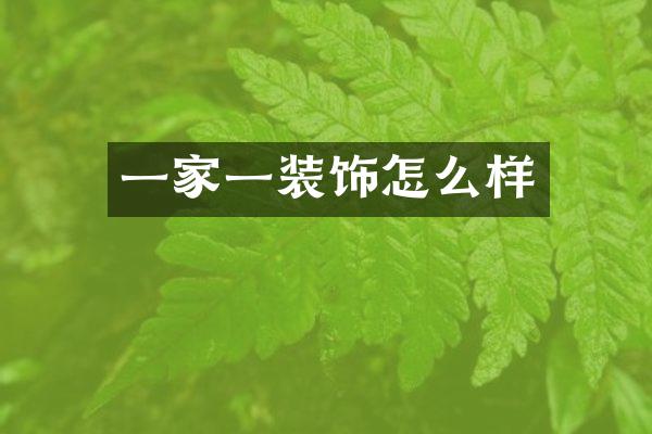 一家一装饰怎么样