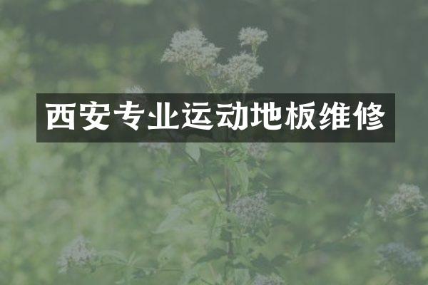 西安专业运动地板维修