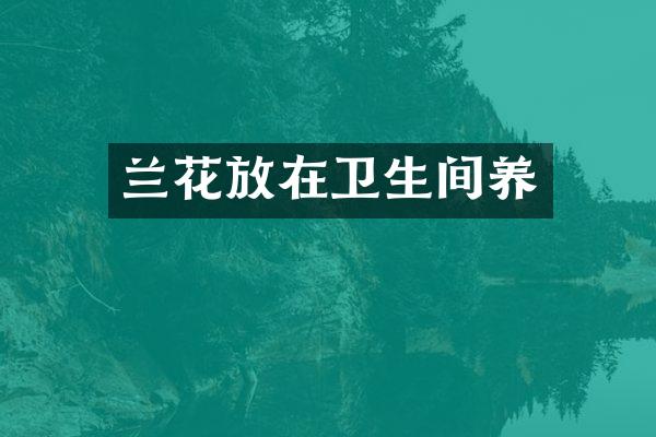 兰花放在卫生间养