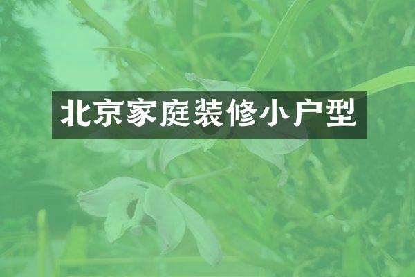 北京家庭装修小户型