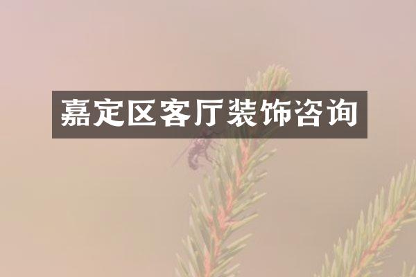 嘉定区客厅装饰咨询