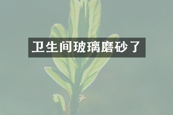 卫生间玻璃磨砂了
