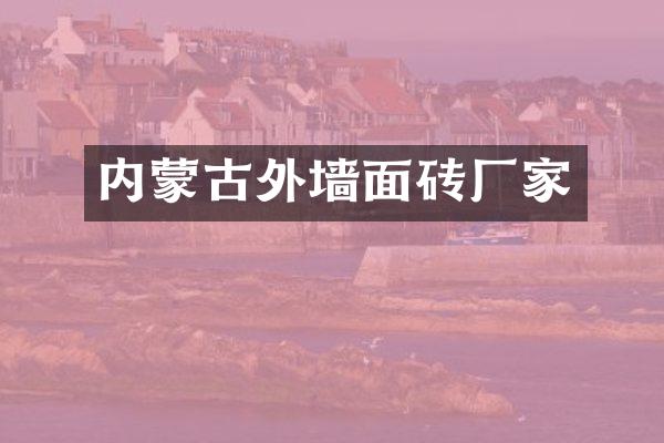 内蒙古外墙面砖厂家
