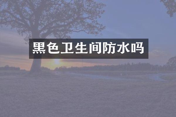 黑色卫生间防水吗