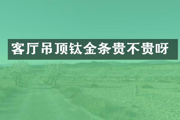 客厅吊顶钛金条贵不贵呀