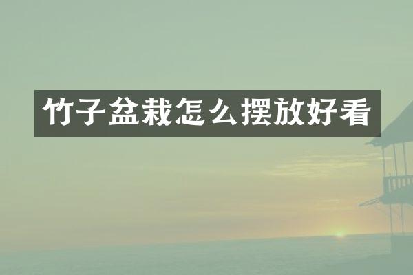 竹子盆栽怎么摆放好看