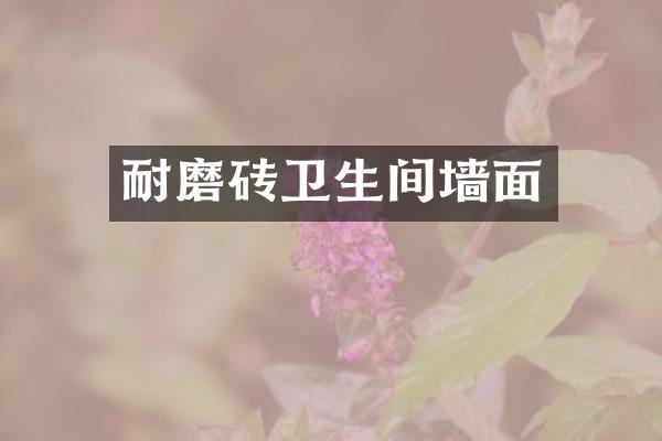 耐磨砖卫生间墙面