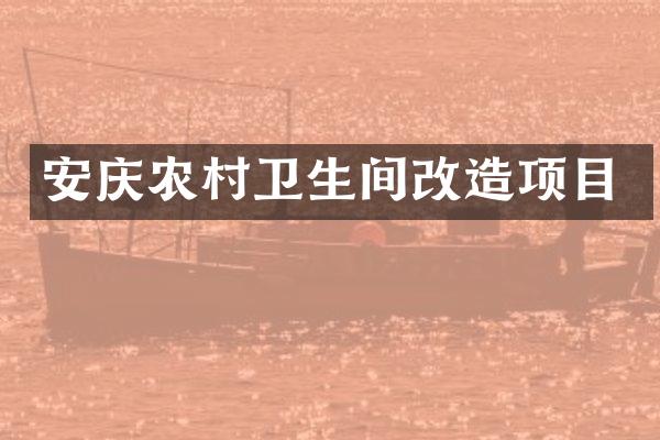 安庆农村卫生间改造项目