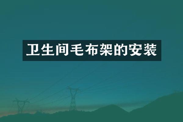 卫生间毛布架的安装