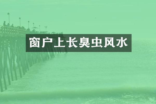 窗户上长臭虫风水