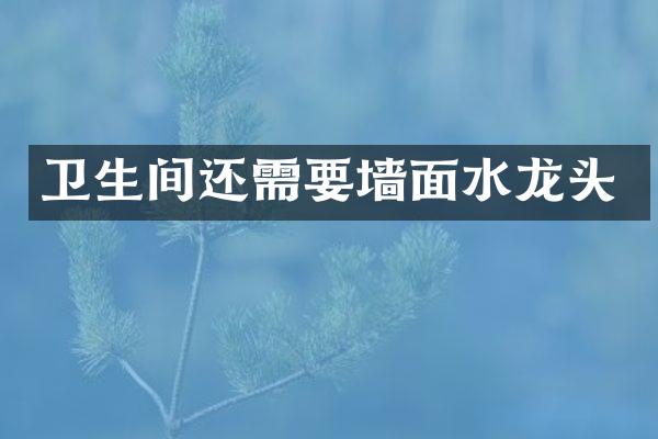 卫生间还需要墙面水龙头