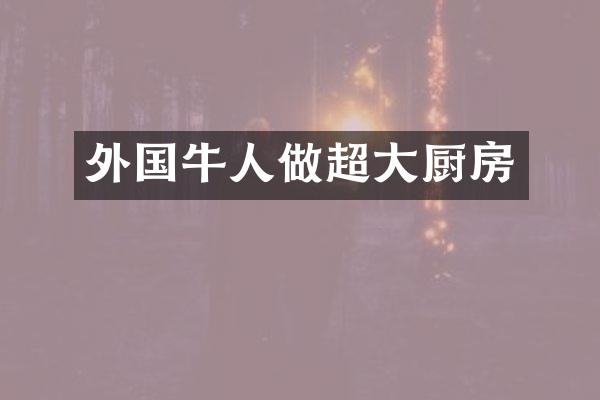外国牛人做超大厨房