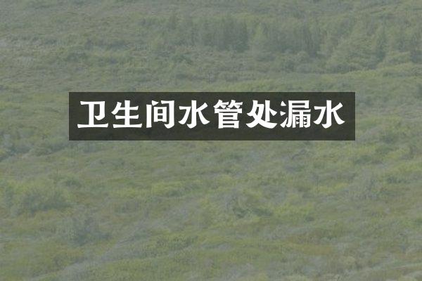 卫生间水管处漏水