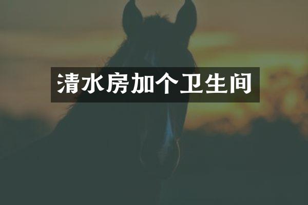 清水房加个卫生间