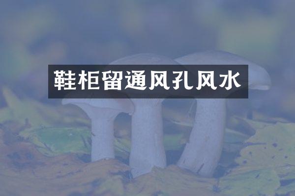 鞋柜留通风孔风水
