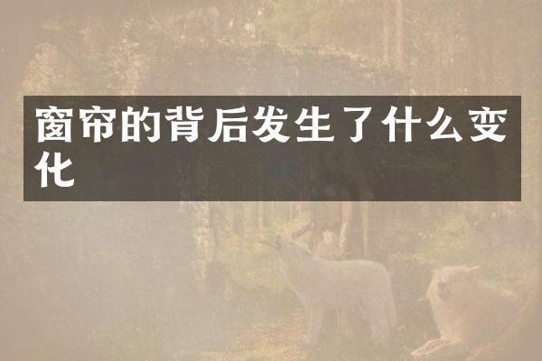 窗帘的背后发生了什么变化
