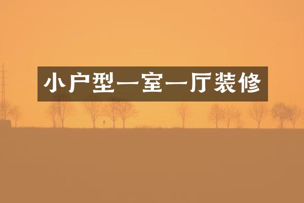 小户型一室一厅装修