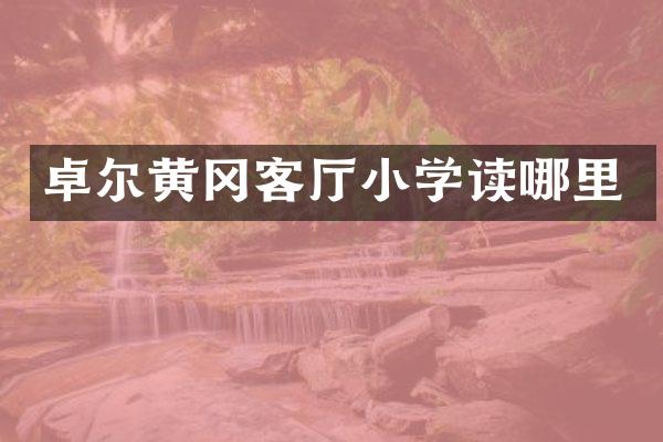卓尔黄冈客厅小学读哪里