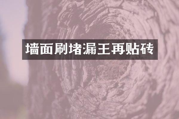 墙面刷堵漏王再贴砖