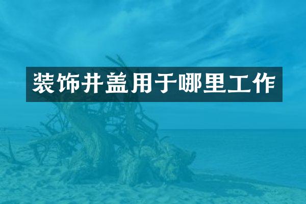 装饰井盖用于哪里工作