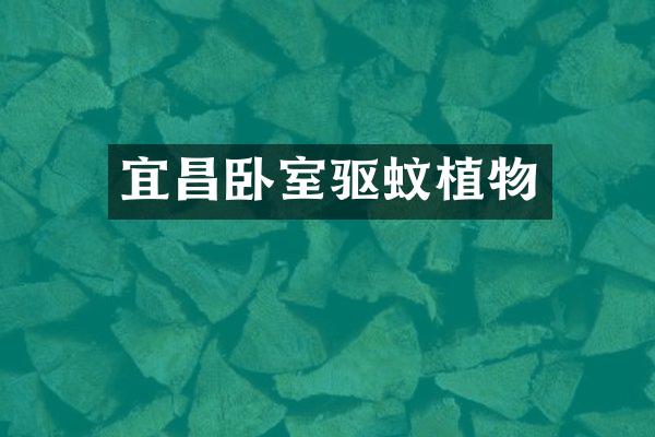 宜昌卧室驱蚊植物