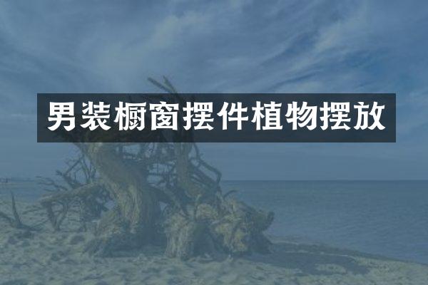 男装橱窗摆件植物摆放