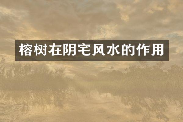 榕树在阴宅风水的作用