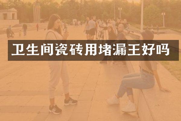 卫生间瓷砖用堵漏王好吗