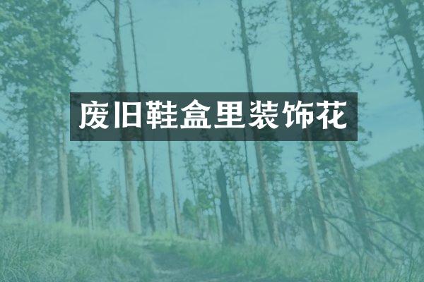 废旧鞋盒里装饰花
