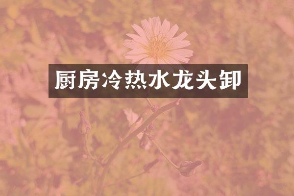 厨房冷热水龙头卸
