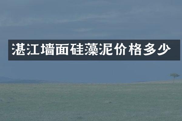湛江墙面硅藻泥价格多少