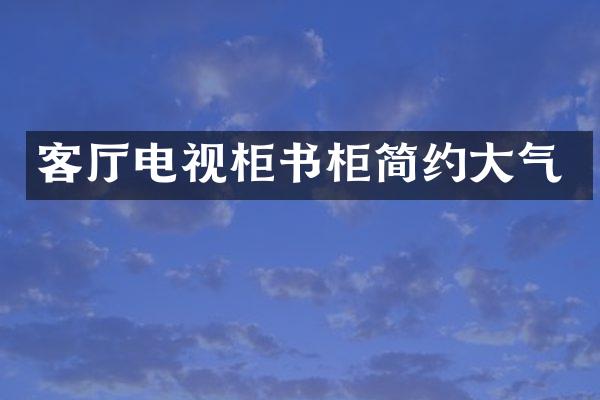 客厅电视柜书柜简约大气
