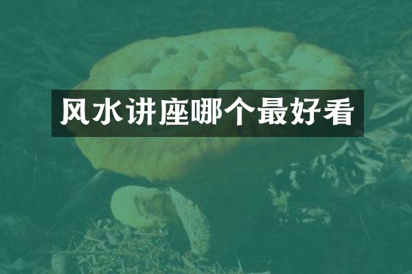 风水讲座哪个最好看