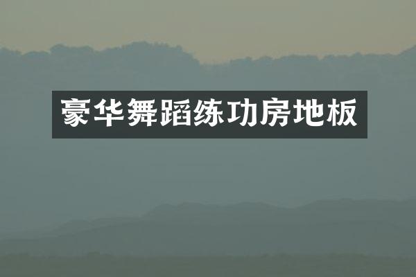 豪华舞蹈练功房地板