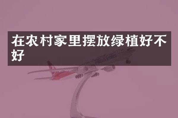 在农村家里摆放绿植好不好