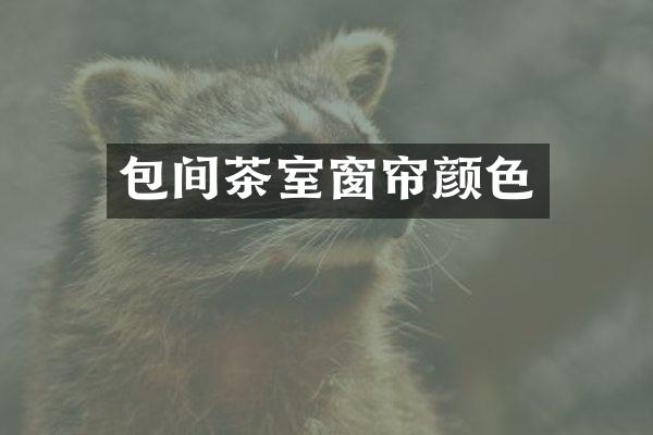 包间茶室窗帘颜色