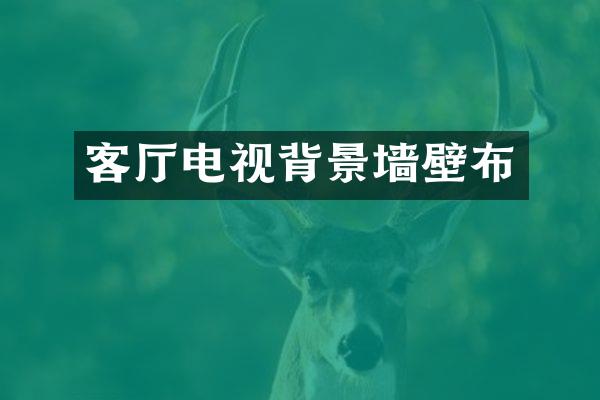 客厅电视背景墙壁布
