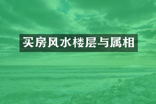 买房风水楼层与属相