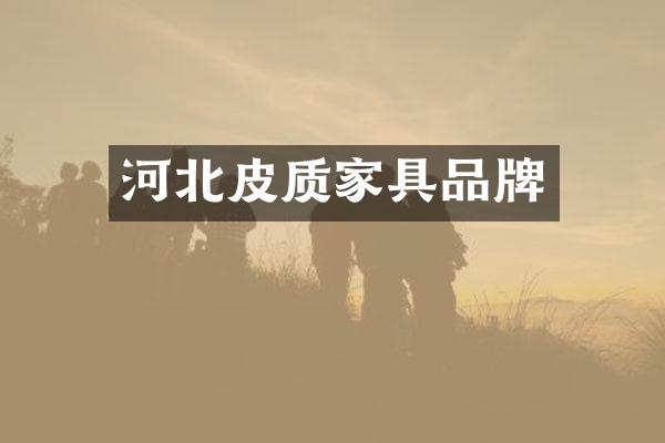 河北皮质家具品牌