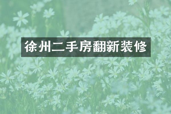 徐州二手房翻新装修