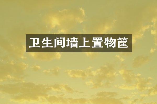 卫生间墙上置物筐