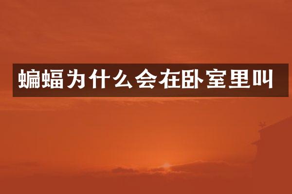 蝙蝠为什么会在卧室里叫
