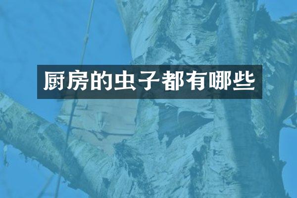 厨房的虫子都有哪些