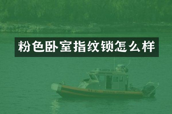 粉色卧室指纹锁怎么样