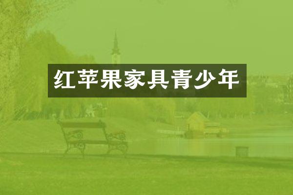 红苹果家具青少年