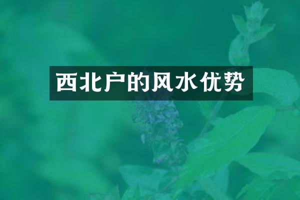西北户的风水优势
