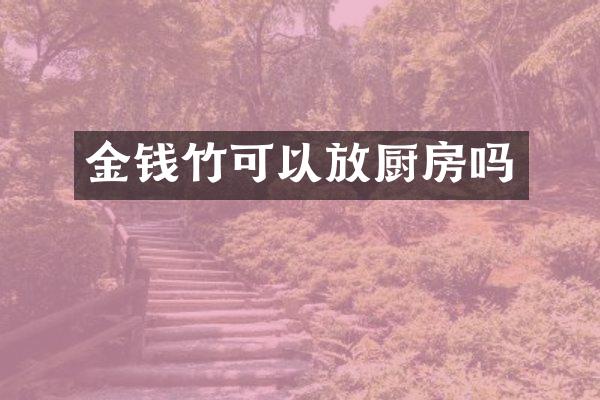 金钱竹可以放厨房吗