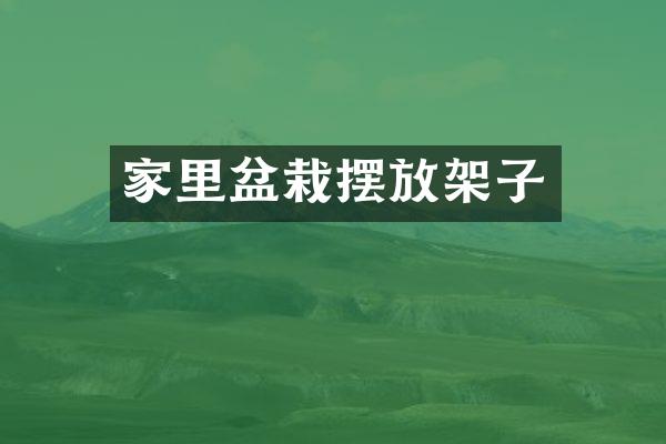 家里盆栽摆放架子